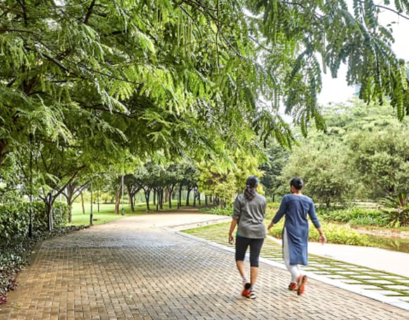 Outdoor amenities and green spaces